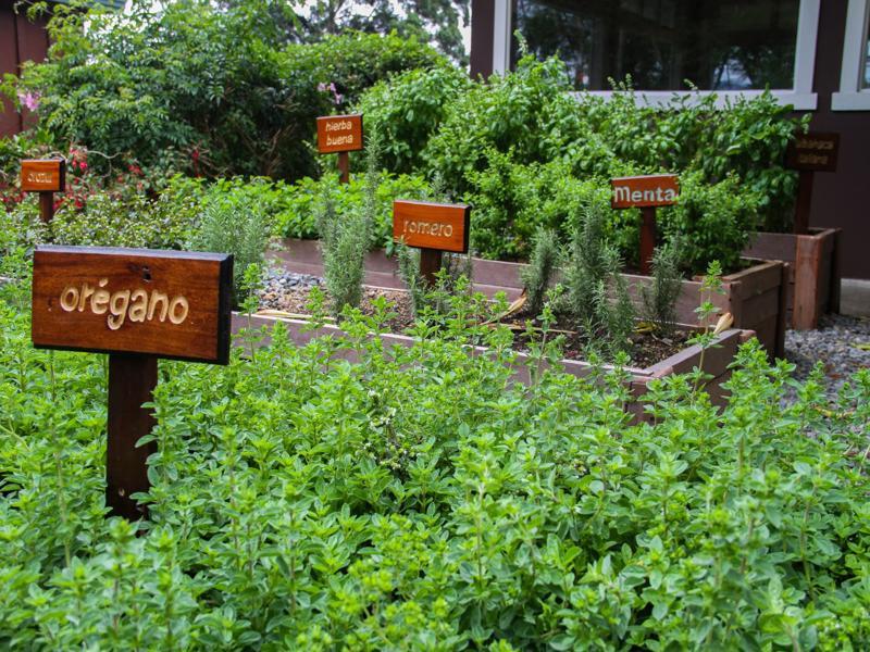 Lerida Coffee Plantation And Boutique Hotel