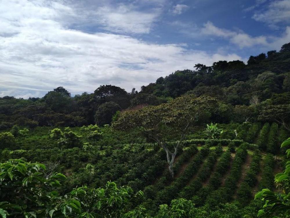 Hotel Lerida Coffee Plantation And Boutique Boquete